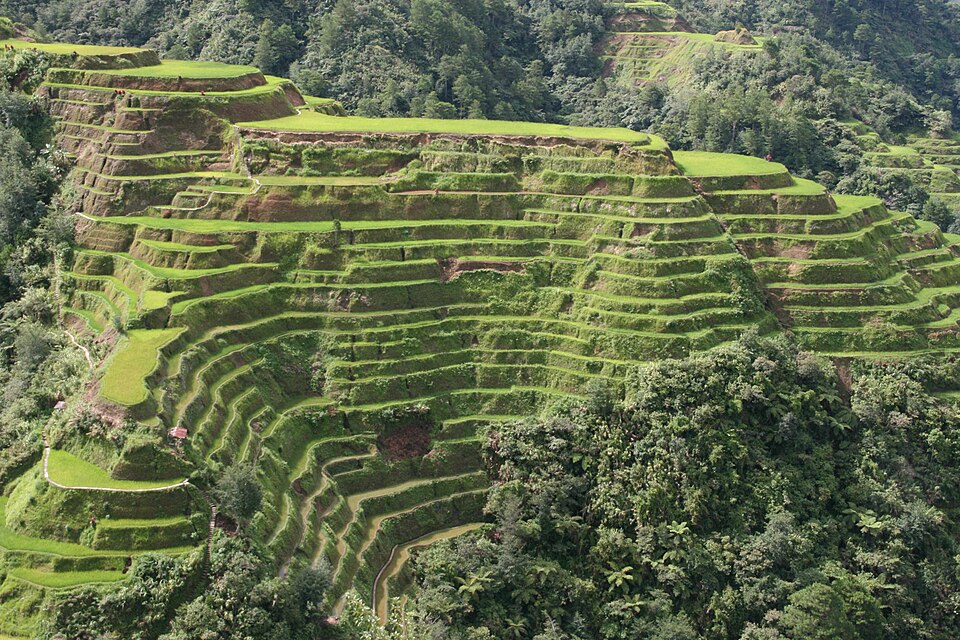 Banaue Rice Terraces, Philippines